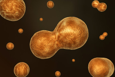 Similar image 1786673