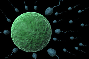 Similar image 1786702