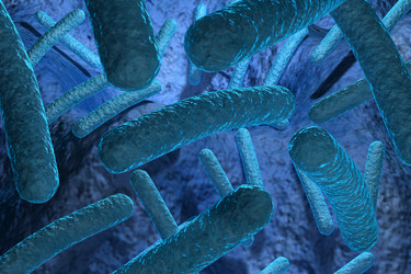 Similar image 1786708