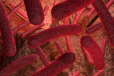 Similar image 1786709