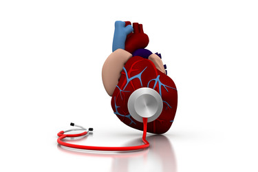 Similar image 1786712