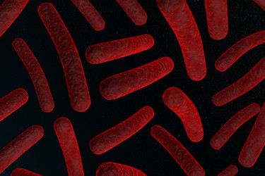 Similar image 1786714