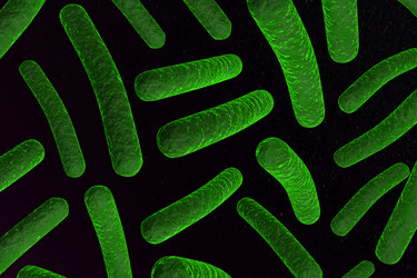 Similar image 1786715