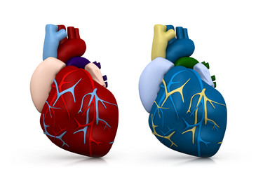 Similar image 1786956