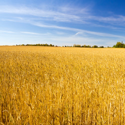 Similar image 1786957