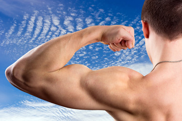 Similar image 1787157