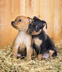 Similar image 1787165