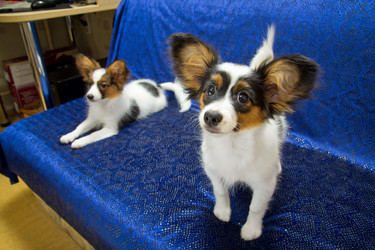 Similar image 1787179