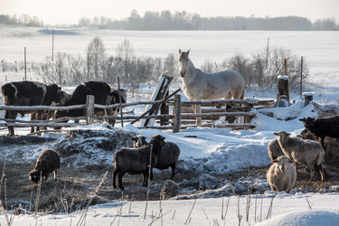 Similar image 1787222