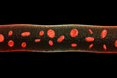 Similar image 1787242