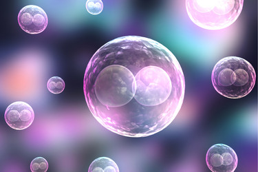 Similar image 1787243