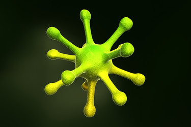 Similar image 1787245