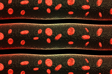 Similar image 1787246