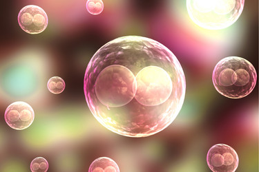 Similar image 1787247