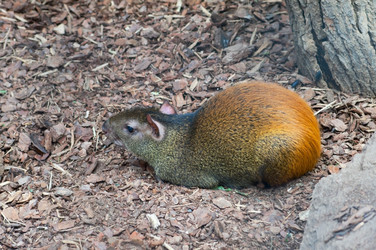 Similar image 1787265