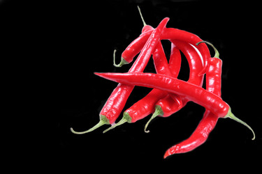 Similar image 1787283