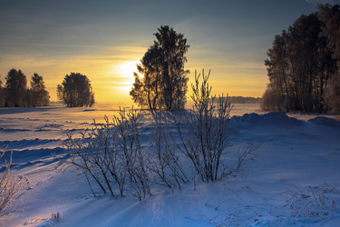 Similar image 1787325