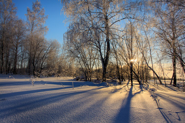 Similar image 1787328