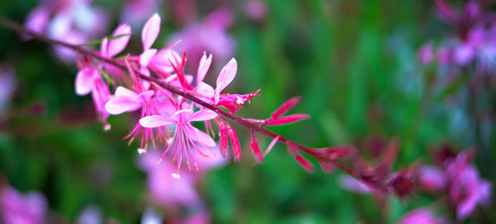 Similar image 1787400