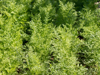 Similar image 1787441