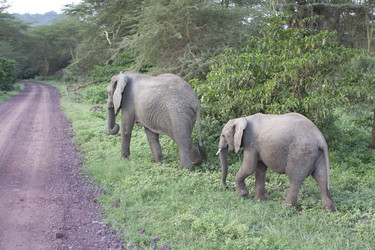 Similar image 1787454