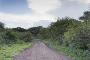 Similar image 1787456