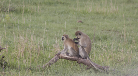 Similar image 1787458