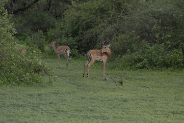 Similar image 1787460