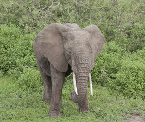 Similar image 1787461