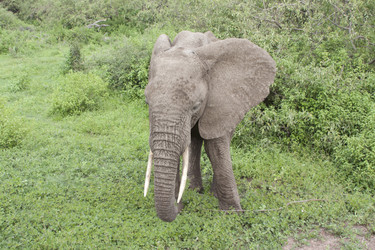 Similar image 1787462