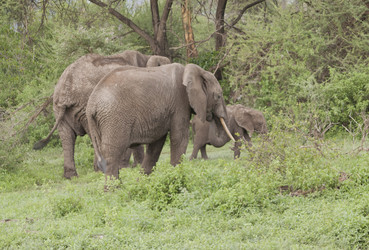 Similar image 1787464