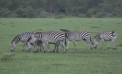 Similar image 1787466