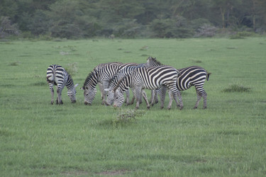 Similar image 1787467