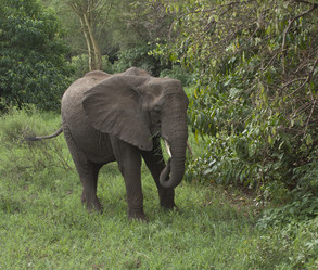 Similar image 1787468