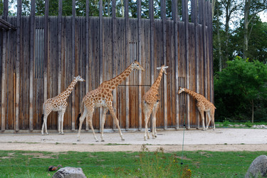 Similar image 1787470