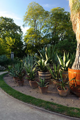 Similar image 1787477