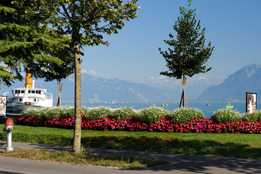 Similar image 1787480