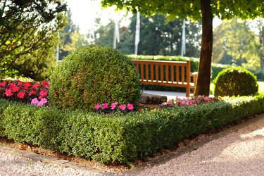 Similar image 1787481