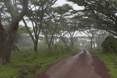 Similar image 1787488