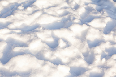 Similar image 1787901