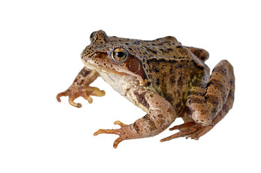 Similar image 1789142