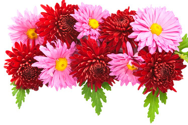 Similar image 1789174