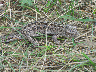 Similar image 1789181