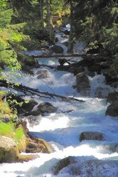 Similar image 1789212