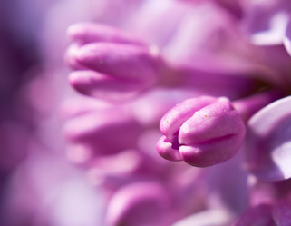 Similar image 1789290