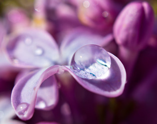 Similar image 1789291