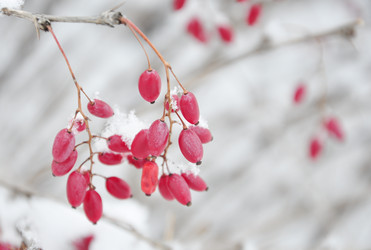 Similar image 1789293