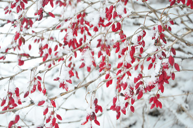 Similar image 1789295