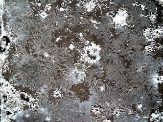 Similar image 1789328