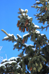 Similar image 1789372